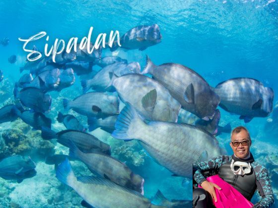 2027-03-26 Easter Sipadan 7D6N Borneo Diving Packages - Travel with Andrew Sir